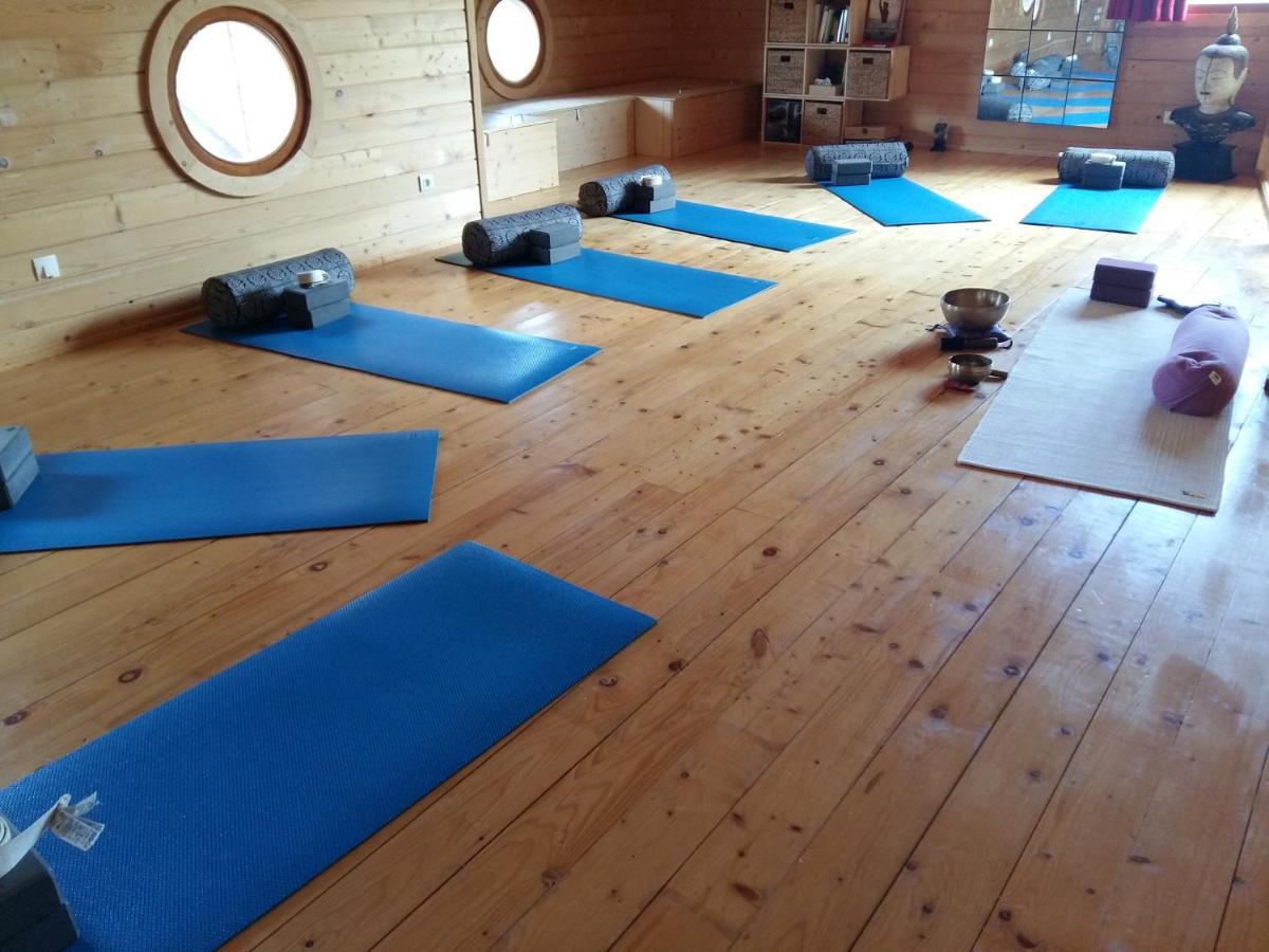Ecolodge Bellevue Albi Dış mekan fotoğraf